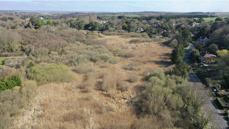 Ariel view of Afton Marsh - significant tree cover and marsh land.
