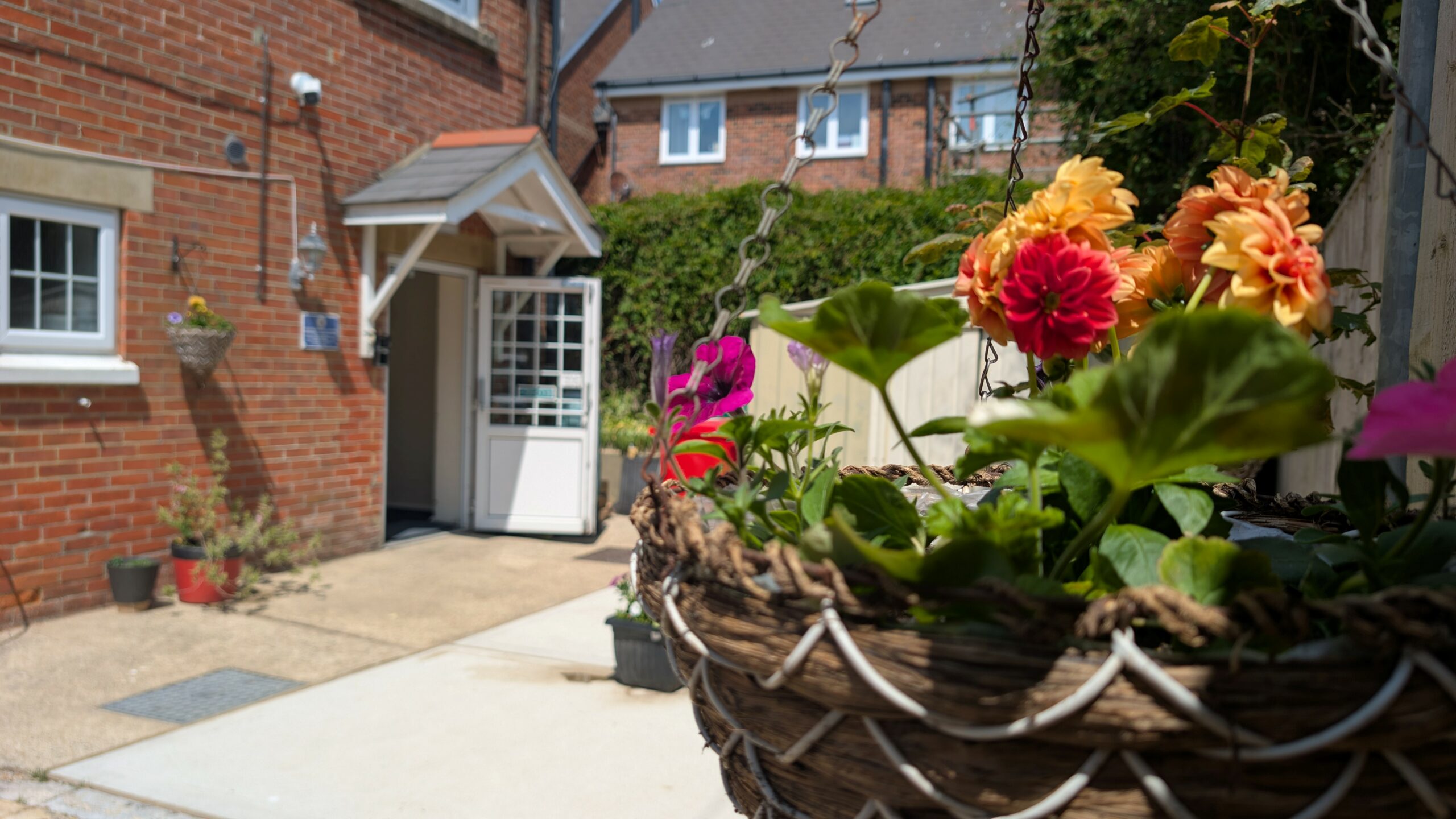 🌸 A Blooming Welcome at Freshwater Parish Council! 🌸